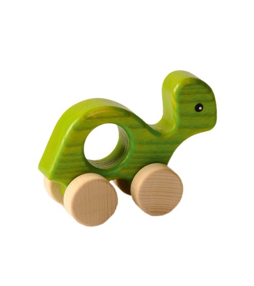Tortue verte